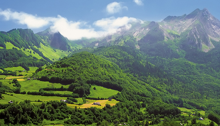 Wspi-spain-walking-3